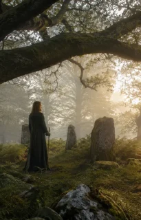 What Is Druidry? The Ancient Path of Nature, Wisdom and Sacred Power